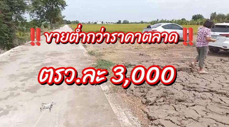 ขายต่ำกว่าท้องตลาดมาก
 ขายถูกมาก ตรว.ละ3,000
 พิกัด คลอง 6 คลองหลวง 
 ไร่ละ 1.2 …