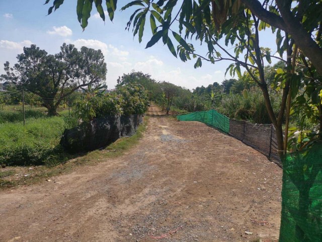 ขายที่ดิน เนื้อที่ 100 ตร.ว. ซอยวัดลาดปลาดุก ใกล้ รถไฟฟ้า MRT สายสีม่วงสถานีคลองบางไผ่ และใกล้แหล่งสาธารณูปโภค อ.บางบัวทอง จ.นนทบุรี