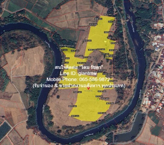 พื้นที่ดิน ขายที่ดินไร่อ้อย เนื้อที่ 45-0-31.9 ไร่ ติดแม่น้ำเลย อ.เมืองเลย จ.เลย, ราคา 18.7 ล้านบาท 18832 ตาราง.วา 18700000 – ทรัพย์ดี