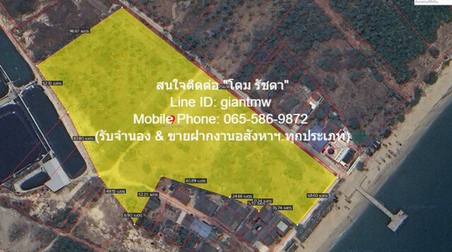 ที่ดิน ขายที่ดินเปล่าติดทะเล (ผังสีชมพู) ต.ห้วยทราย อ.เมืองประจวบคีรีขันธ์ จ.ประจวบคีรีขันธ์ 17-3-54.9 ไร่, ราคา 53,661,750 บาท (3 ลบ./ไร่) 62605375 thb ขนาด = 17 RAI 3 NGAN 55 ตาราง.วา ใกล้ ห่างถนนเพชรเกษม (ทางหลวงหมายเลข 4) ประมาณ 3.2 กม. ราคาพิเศ