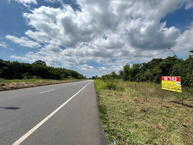 ขายที่ดิน2 ไร่ ติดถนนสุวรรณศรใหม่ ดงขี้เหล็ก ปราจีนบุรี ZJ140