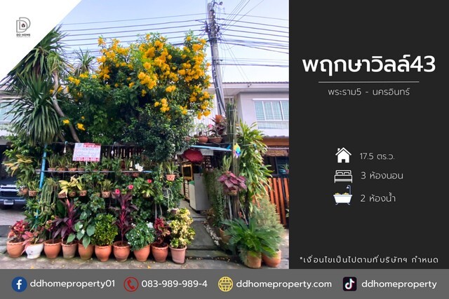 ขายหมู่บ้านพฤกษาวิลล์43 พระราม5-นครอินทร์ (DD001904)