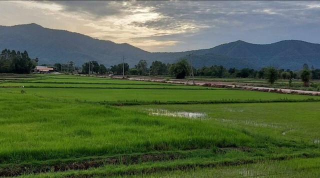 ขายที่ดินวิวภูเขา อำเภอทัพทัน จังหวัดอุทัยธานี เนื้อที่ 10 ไร่