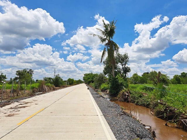 รังสิต คลอง10 หนองเสือ ที่ดินร่องสวน 4 ไร่ ถนนรังสิต-นครนายก