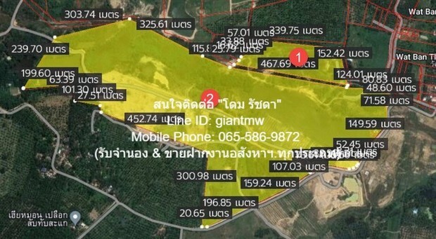 ที่ดิน ืที่ดิน ทับสะแก จ.ประจวบคีรีขันธ์ 40000 THAI BAHT พ.ท. 0 ตารางวา 0 งาน 40 RAI หั่นราคา