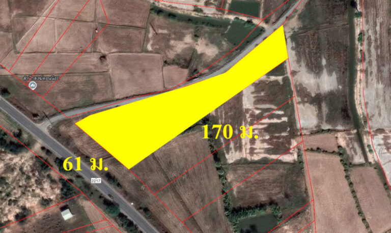ที่ดินเปล่าติดถนนทางหลวง2217 เนื้อที่ 4ไร่ โครราช ด่านขุนทด