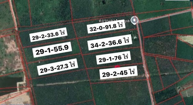 ขายที่ดินแปลงใหญ่ 7 โฉนด ผังเมืองสีม่วงลาย กะเฉด เมืองระยอง TP-L0881