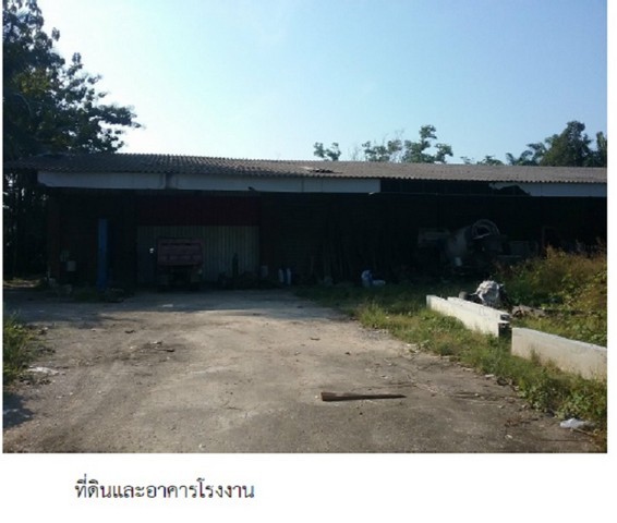 ขายโรงงาน ตำบาล ตากแดด อำเภอเมืองชุมพร จังหวัดชุมพร