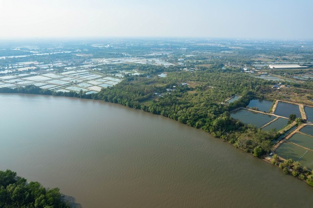 ขายที่ติดแม่น้ำบางปะกง 1 ไร่เศษ ( ขายถูกที่สุดในย่านนี้ ) ต.สนามจันทร์ อ.บ้านโพธิ์ จ.ฉะเชิงเทรา