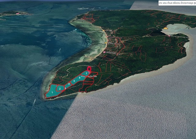 P202504 ขายที่ดินบนเกาะแตน 90 ไร่ ต.ตลิ่งงาม อ.เกาะสมุย จ.สุราษฎร์ธานี