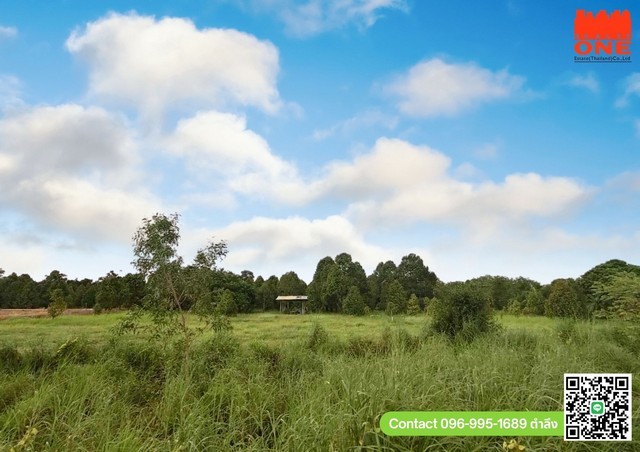 ขายที่ดินพร้อมสวนทุเรียน ติดถนนใหญ่ ทำเลดี ปราจีนบุรี ติดถนนสุวรรณศรใหม่ ถนนสายเอเชีย 1