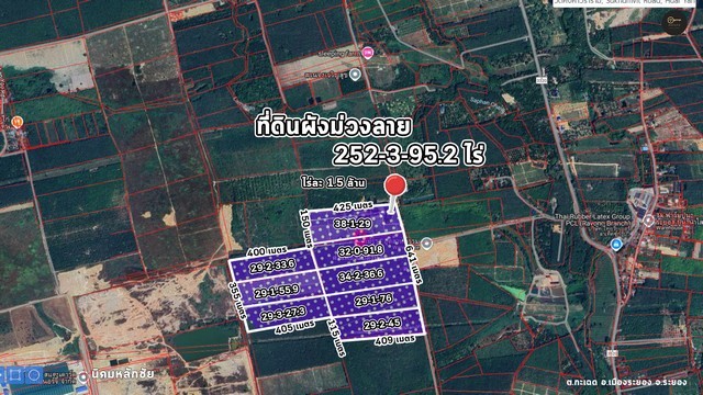 ที่ดินผังสีม่วงลาย ขนาด 252-3-95.2 ไร่ อ.เมือง จ.ระยอง ไร่ละ 1.5 ล้าน พร้อมโอกาสทำกำไรในอนาคต!