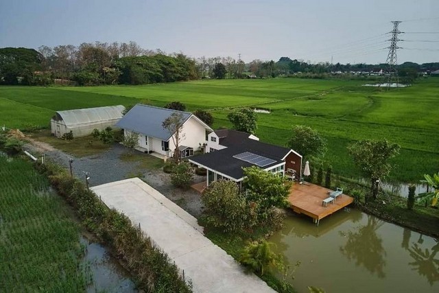 บ้านสวนสวย วิวดอยสุเทพ ติดทุ่งนา3ด้าน พร้อมผู้เช่า แม่ริม