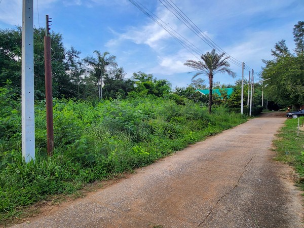 ขาย : ที่ดินโฉนด แปลงสวย โซนเขาใหญ่ ใกล้โบนันซ่า ราคาไม่ถึงล้าน