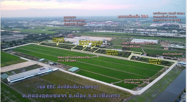 ขายที่ดินทำเลทองเขตEEC 5ไร่-40 ไร่ฟรีถมดินให้เสมอถนน คลองอุดมชลจร เมืองฉะเชิงเทรา ผังที่ดินม่วงจุดสีขาวเหมาะสร้างโรงงานทุกประเภท