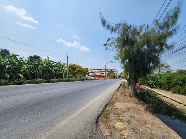 ขายที่ดิน 3ไร่ เขตหนองจอก ด้านหลังตลาดหนองจอก ถ.ผดุงพันธ์ ซ.1 ทำเลธุรกิจ กรุงเทพชั้นนอก ที่ชุมชน ติดถนน โทร 0889879915