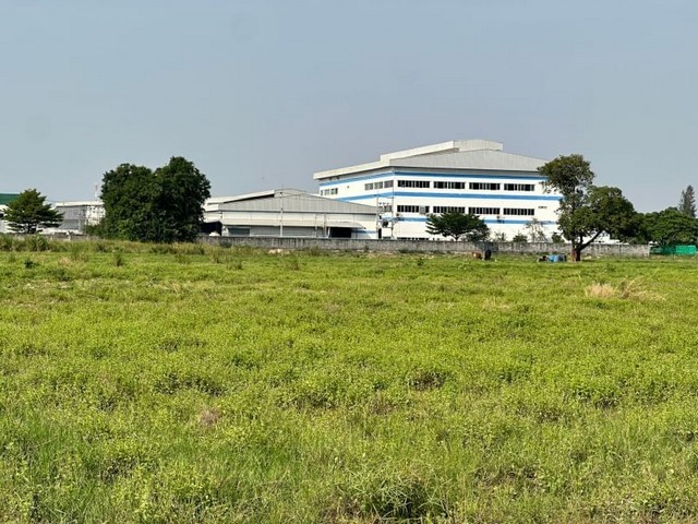 290649pic1